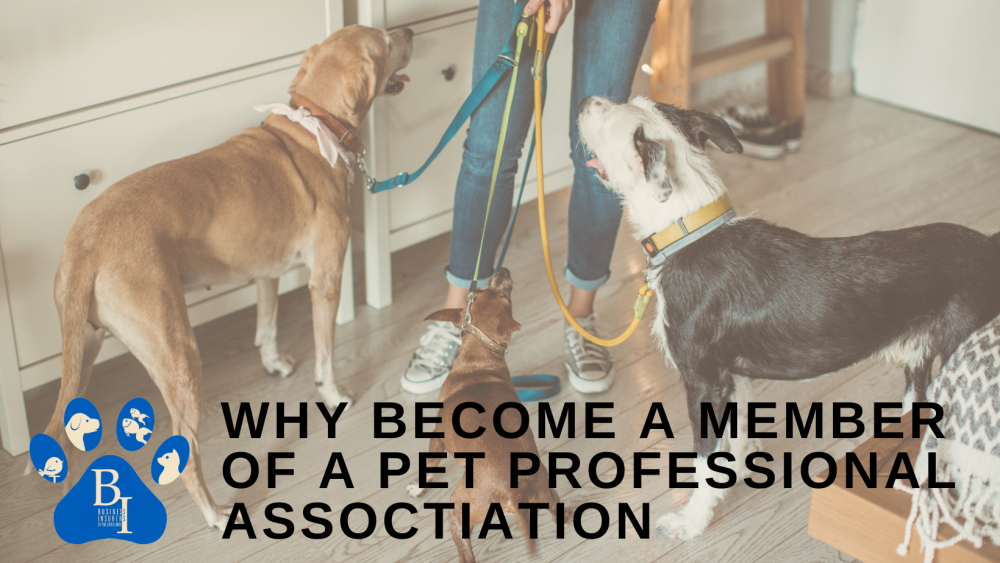 Why We Work With Pet Care Professional Associations Blog