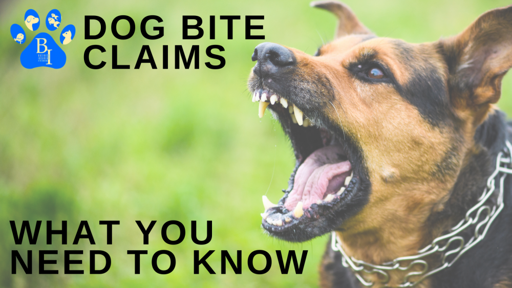 Dog Bite Claims Blog Business Insurers of the Carolinas