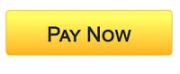 Pay Now Button