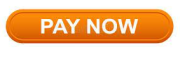 Pay Now Button