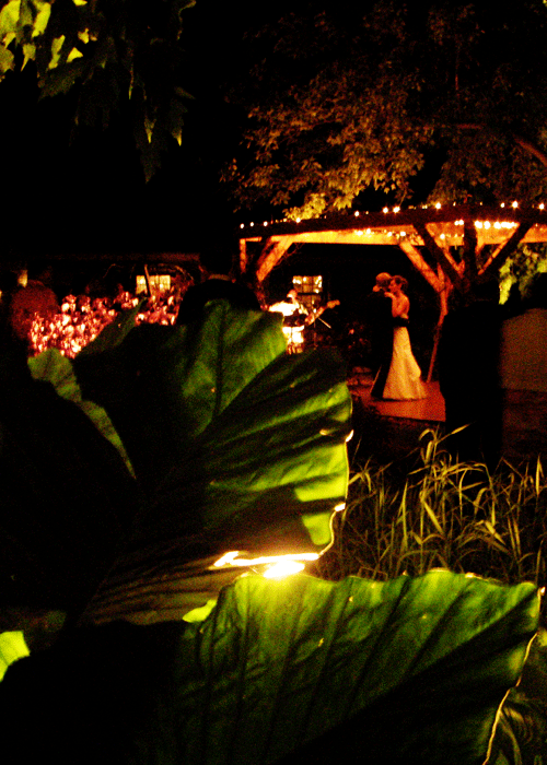 Distinctive Gardens Inc.