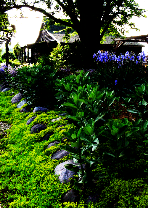 Distinctive Gardens Inc.