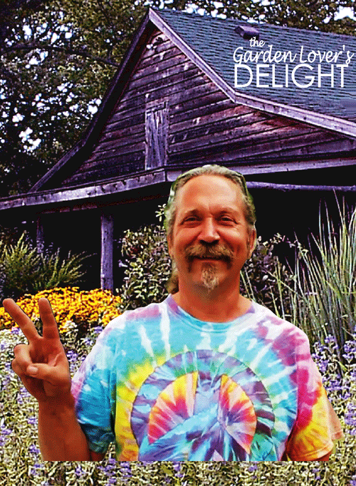 Distinctive Gardens Inc.